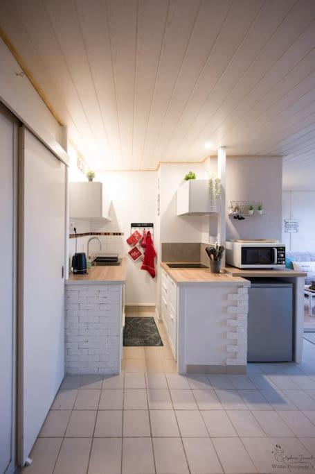 Le Nid Aux Mouettes Apartment La Parée Preneau Екстериор снимка